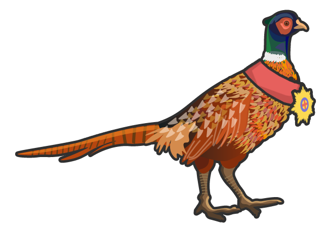 A Beauchamp Partners pheasant wearing a medal